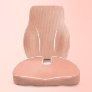 betterhood PosturePro Premium Chair...
