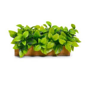DecoreBugs Artificial Plant Leaves ...