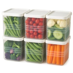 Fridge Storage Containers for Veget...