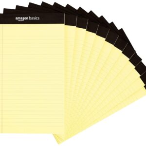 amazon basics Narrow Ruled Writing ...