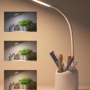 WEIRD WOLF Study Lamp with 3 Colour...