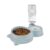 Amazon Basics 2 In1 Pet Feeder Food and Water Dispenser|Stainless Steel Bowl|Automatic Water Dispensing Mechanism|Suitable for Cats and Dogs, 32 cm, H_22 cm, W_16.5 cm, Medium