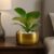 CINAGRO Metal Planter Pot for Indoor Plants, Round Decorative Flower Pot, Rust-Resistant, Modern Plant Holder for Home, Balcony, Office (13.97 x 7.62 cm, Pulse Nest – Gold)