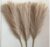 SATYAM KRAFT 3 Pcs Faux Pampas Grass Small Artificial Flowers Fake Flower for Home Decoration, Office,Bedroom, Table Decoration and Craft Items Corner (Without Vase Pot) (Brown, 41 CM)