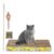 Emily Pets Cardboard Cat Scratcher and Cat Stick Combo, Catnip, Chew Interactive Toy for Cats and Kitten (Pack of 2,Color May Vary)