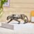 amazon basics Striking Dotted Panther Sculpture | A Fierce Mix of Style & Artistry | Elevate Your Space with Modern Elegance Pack of 1, Dotted Black, Ceramic